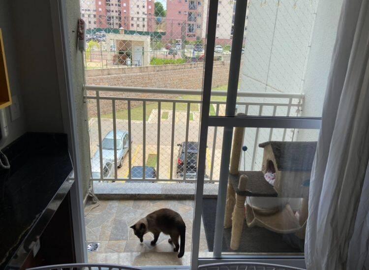 Apartamento, 2 quartos, 62 m² - Foto 4
