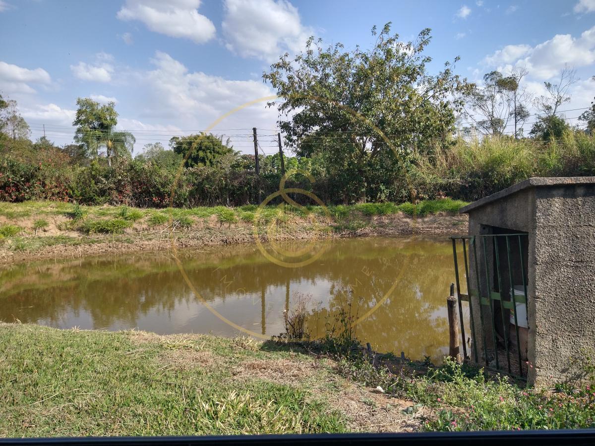 Fazenda, 4 quartos - Foto 4