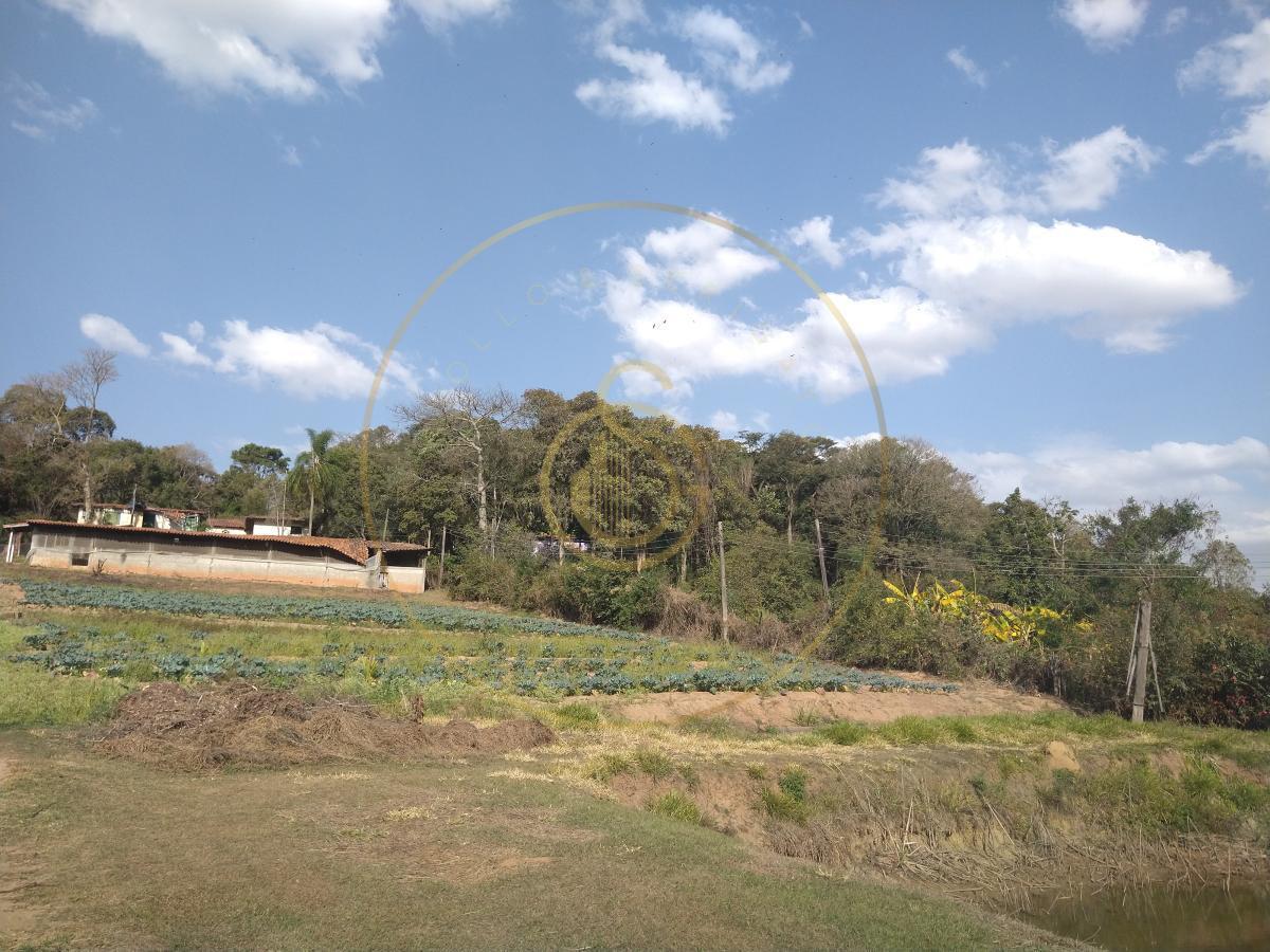 Fazenda, 4 quartos - Foto 3