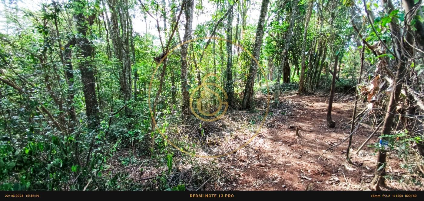 Terreno, 1450 m² - Foto 6