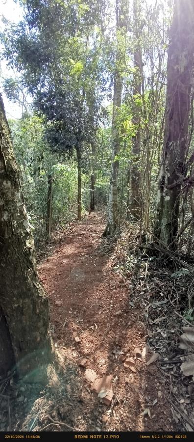 Terreno, 1450 m² - Foto 8