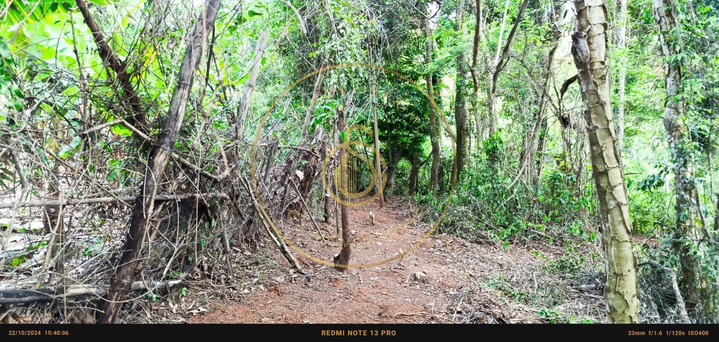 Terreno, 1450 m² - Foto 19