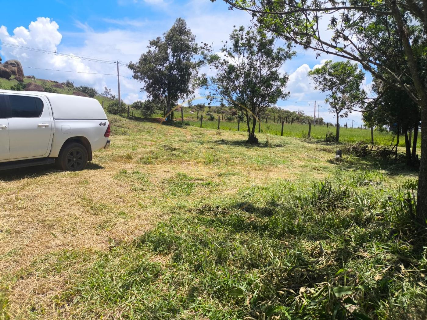 Terreno, 2 hectares - Foto 8