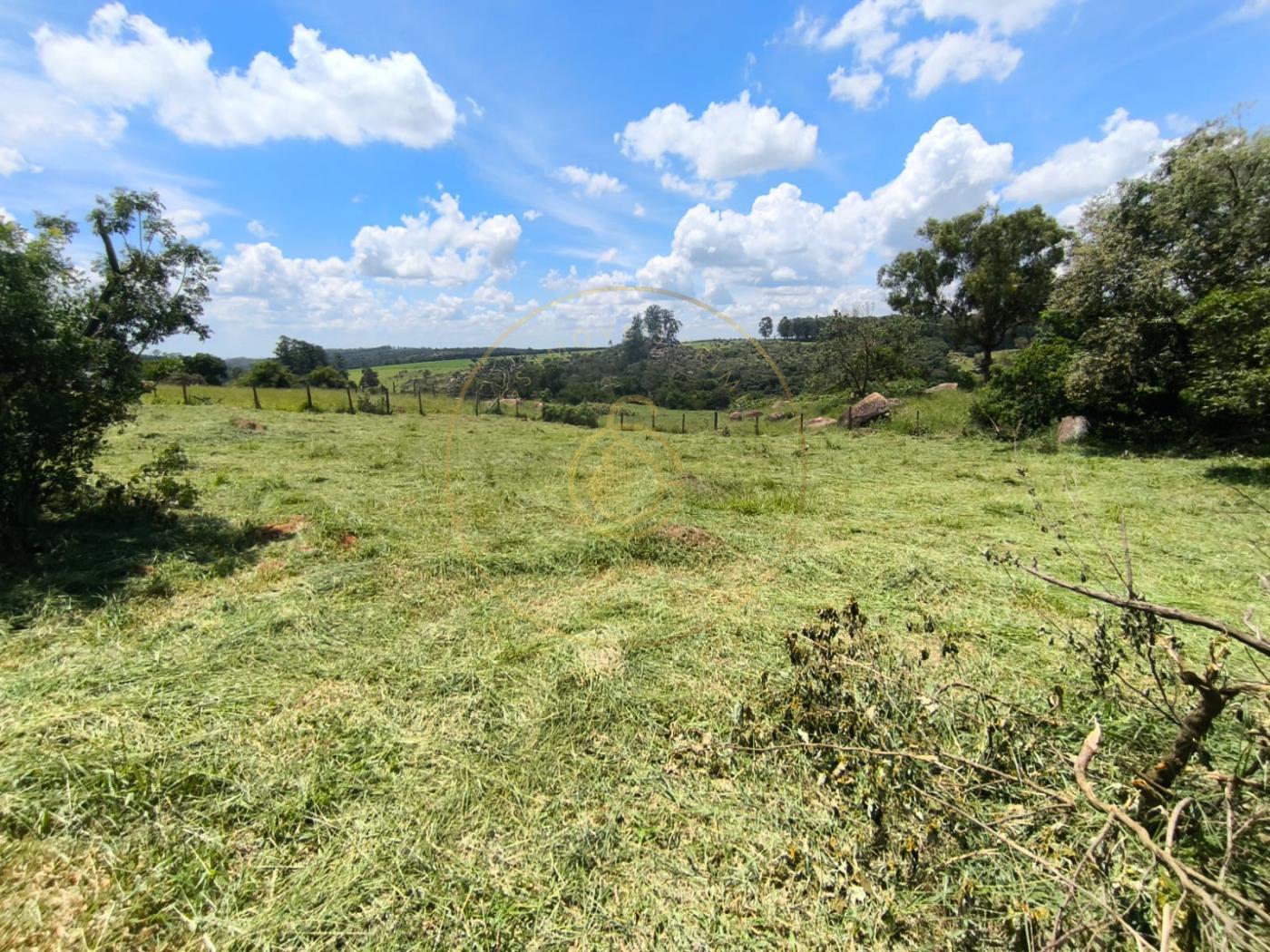 Terreno, 2 hectares - Foto 1