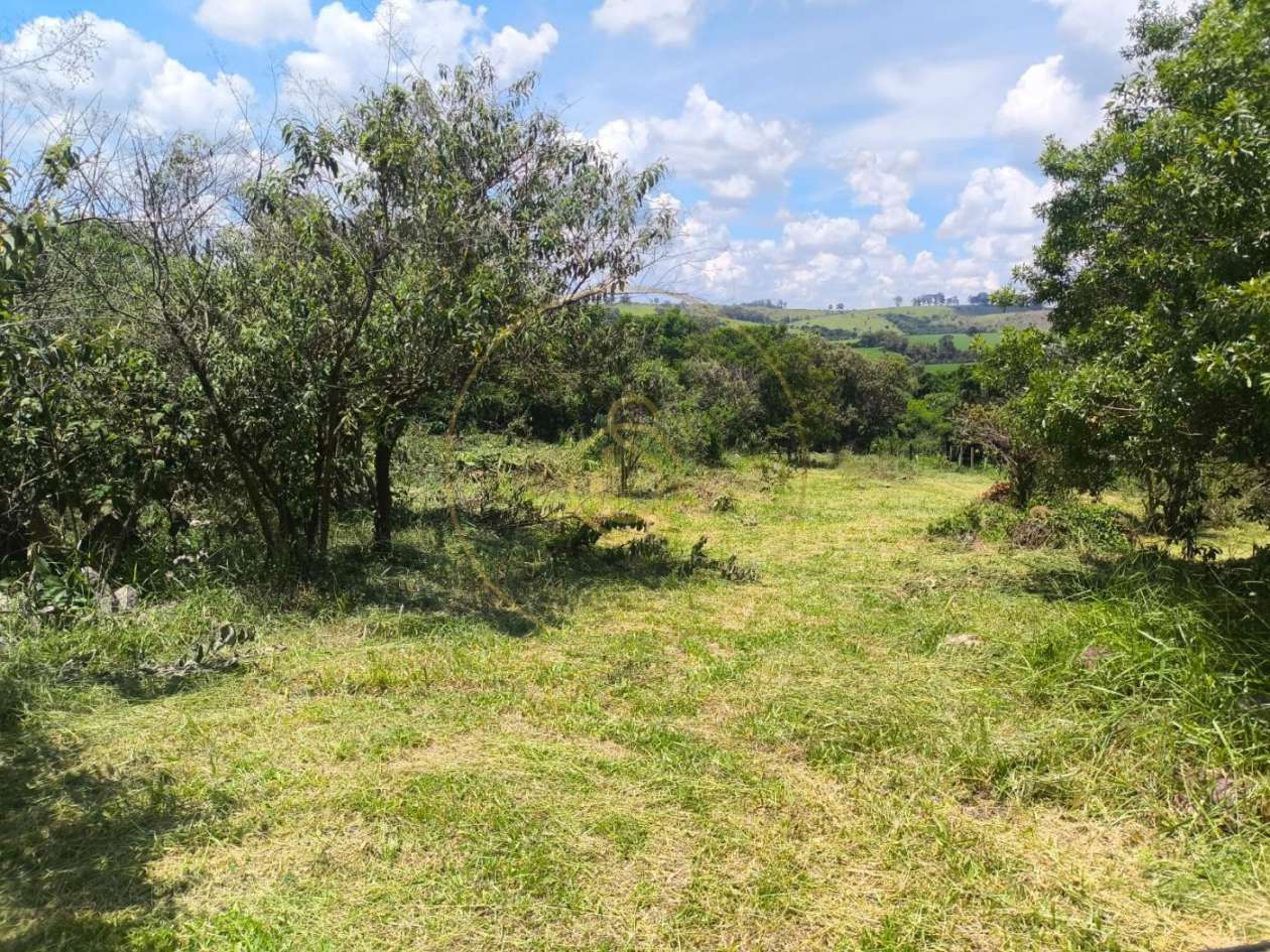 Terreno, 2 hectares - Foto 2