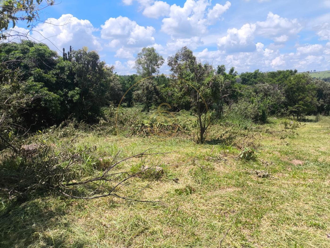 Terreno, 2 hectares - Foto 3