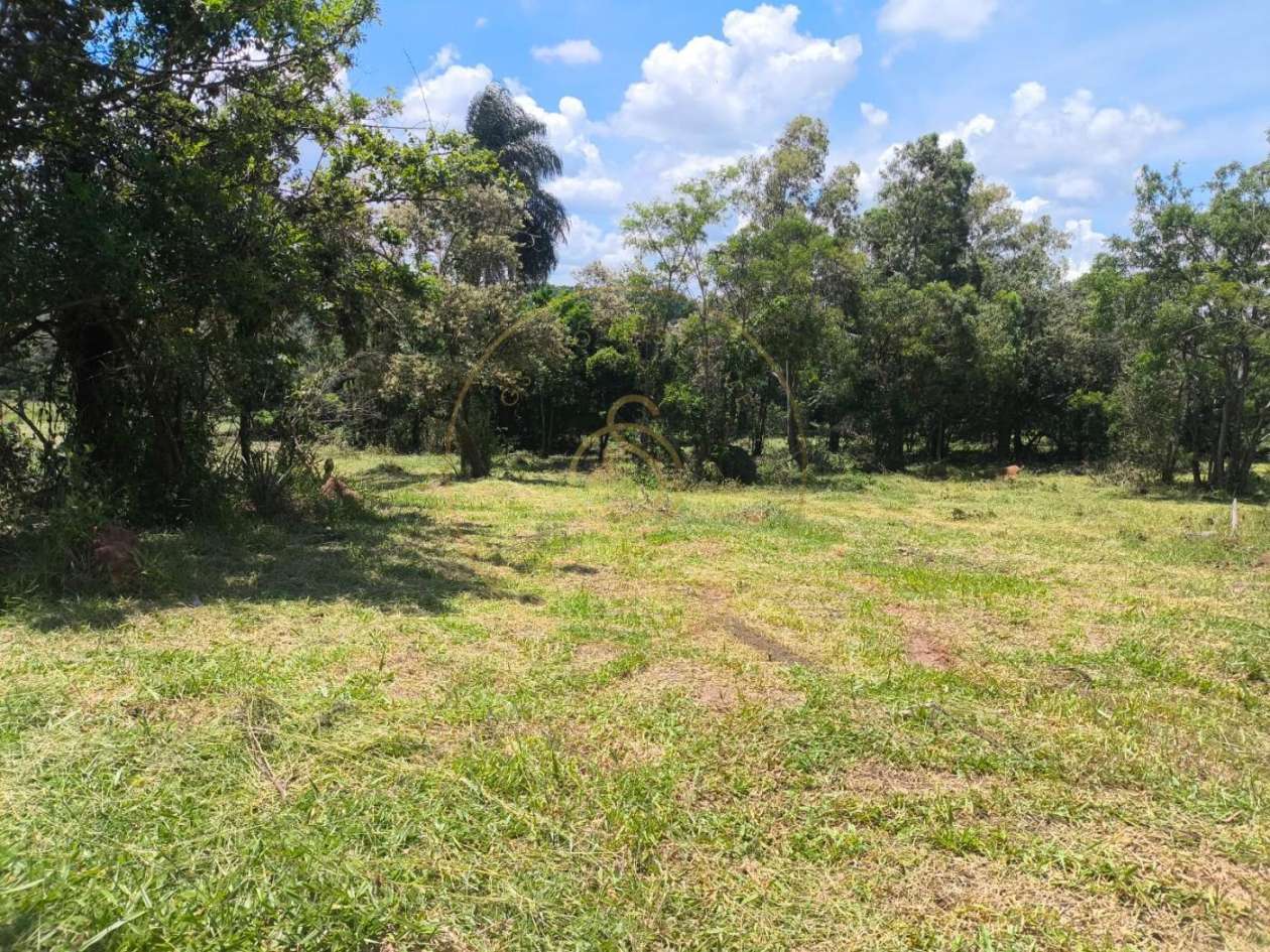 Terreno, 2 hectares - Foto 4