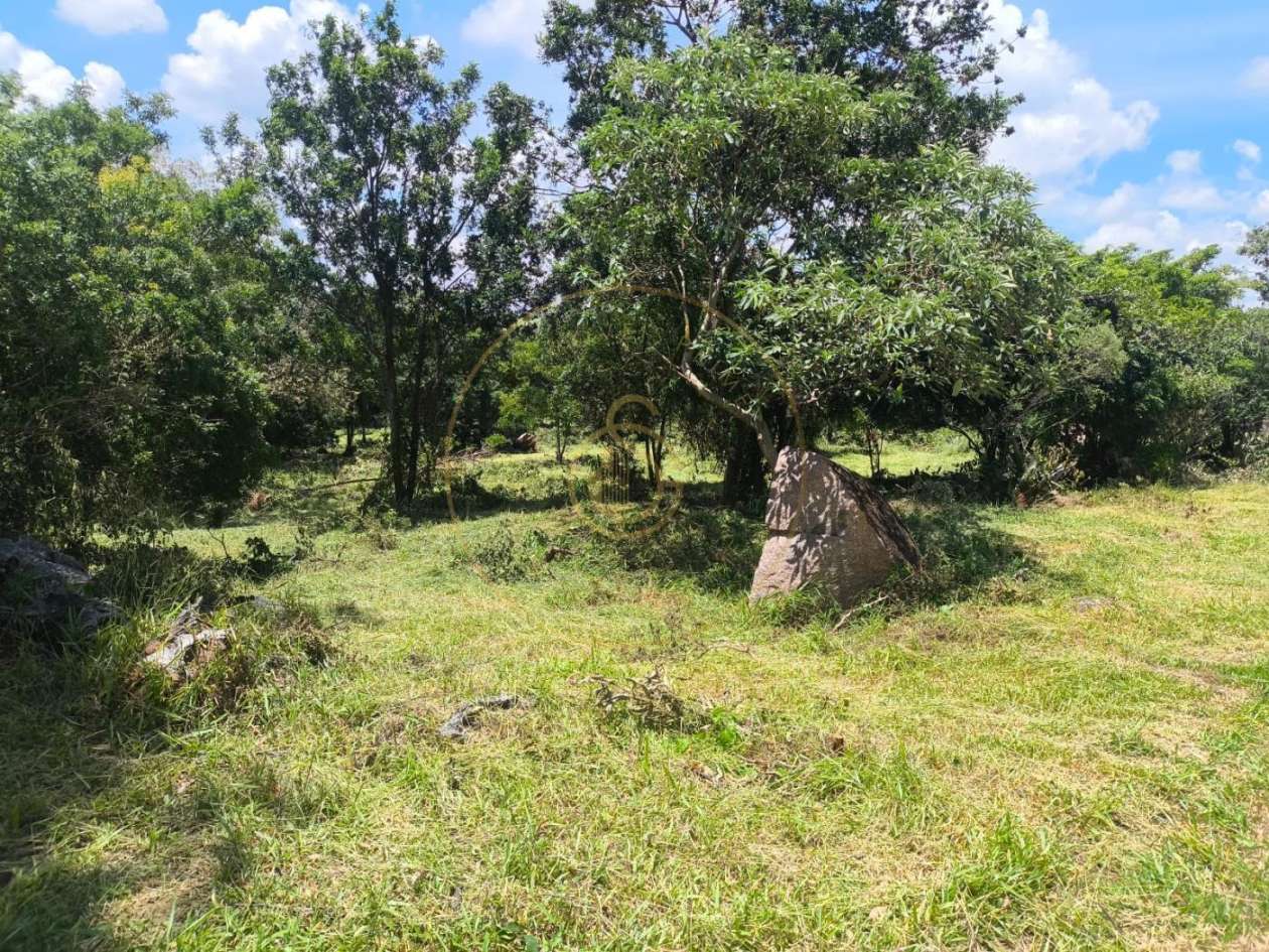 Terreno, 2 hectares - Foto 7