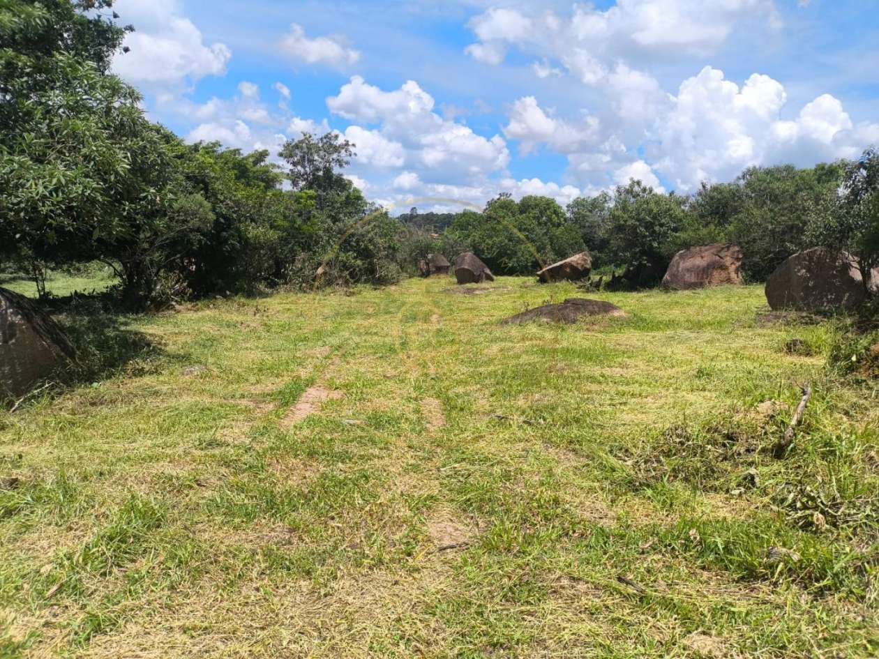 Terreno, 2 hectares - Foto 6