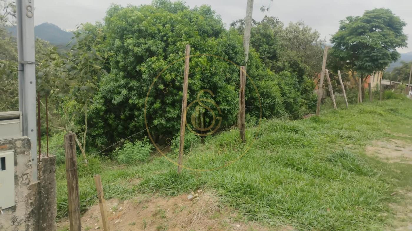 Terreno, 1000 m² - Foto 3